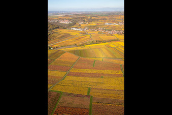 Kleinkarlbach im Bundesland Rheinland-Pfalz, Deutschland von oben