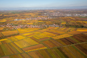 Leiningerland Kirchheim im Ortsteil Jerusalemsberg in Kirchheim an der Weinstraße im Bundesland Rheinland-Pfalz, Deutschland