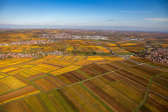 Leiningerland Kleinkarlbach bis Kirchheim im Ortsteil Jerusalemsberg in Kirchheim an der Weinstraße im Bundesland Rheinland-Pfalz, Deutschland