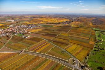 Ortsteil Jerusalemsberg in Kirchheim an der Weinstraße im Bundesland Rheinland-Pfalz, Deutschland aus der Drohnenperspektive