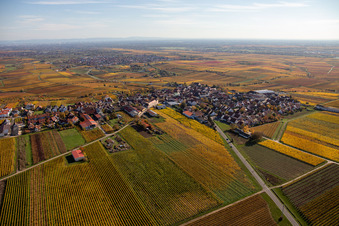 Luftbild von Herbstliche verfärbte Vegetationsansicht der Weinbergen um das Winzerdorf in Herxheim am Berg im Bundesland Rheinland-Pfalz, Deutschland