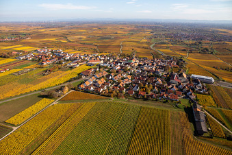 Luftaufnahme von Herbstliche verfärbte Vegetationsansicht der Weinbergen um das Winzerdorf in Herxheim am Berg im Bundesland Rheinland-Pfalz, Deutschland