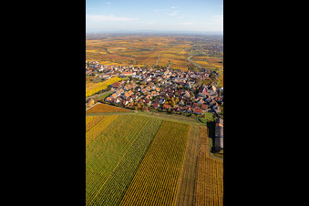 Herxheim am Berg im Bundesland Rheinland-Pfalz, Deutschland von oben