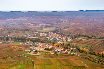 Luftbild von Strukturen der Herbstlich bunt gefärbte Weinbergs- Landschaft der Winzer- Gebiete in Heuchelheim-Klingen im Bundesland Rheinland-Pfalz, Deutschland