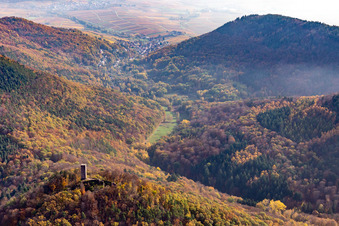 Luftaufnahme von Burgruine Scharfenberg in Leinsweiler im Bundesland Rheinland-Pfalz, Deutschland