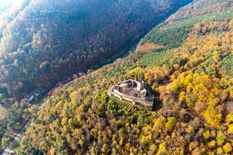 Herbstluftbild der Ruine und Mauerreste der ehemaligen Burganlage Burg Landeck in Klingenmünster im Bundesland Rheinland-Pfalz, Deutschland