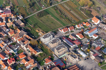 Sylvanerstr im Ortsteil Schweigen in Schweigen-Rechtenbach im Bundesland Rheinland-Pfalz, Deutschland