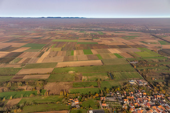 Flutgraben zwischen Winden und Mühlhofen in Billigheim-Ingenheim im Bundesland Rheinland-Pfalz, Deutschland