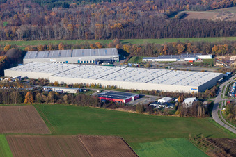 Gewerbegebiet Horst mit Magna Exteriors, Zufall Logistics, STS Group und Thermo Fisher im Ortsteil Minderslachen in Kandel im Bundesland Rheinland-Pfalz, Deutschland
