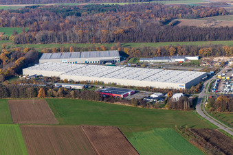 Luftbild von Gewerbegebiet Horst mit Magna Exteriors, Zufall Logistics, STS Group und Thermo Fisher im Ortsteil Minderslachen in Kandel im Bundesland Rheinland-Pfalz, Deutschland
