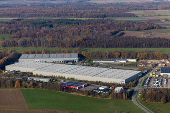 Luftaufnahme von Gewerbegebiet Horst mit Magna Exteriors, Zufall Logistics, STS Group und Thermo Fisher im Ortsteil Minderslachen in Kandel im Bundesland Rheinland-Pfalz, Deutschland