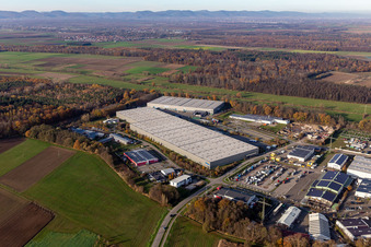 Luftbild von Gewerbegebiet und Firmenansiedlung Horst mit Friedrich Zufall GmbH & Co. KG Internationale Spedition, Magna Exteriors, STS Group und Thermo Fisher im Ortsteil Minderslachen in Kandel im Bundesland Rheinland-Pfalz, Deutschland