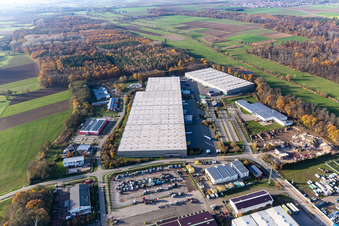Gewerbegebiet Horst mit Magna Exteriors, Zufall Logistics, STS Group und Thermo Fisher im Ortsteil Minderslachen in Kandel im Bundesland Rheinland-Pfalz, Deutschland von oben