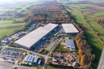 Gewerbegebiet Horst mit Magna Exteriors, Zufall Logistics, STS Group und Thermo Fisher im Ortsteil Minderslachen in Kandel im Bundesland Rheinland-Pfalz, Deutschland aus der Luft