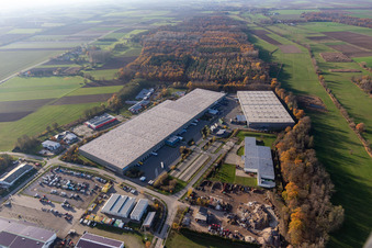 Luftaufnahme von Gewerbegebiet und Firmenansiedlung Horst mit Friedrich Zufall GmbH & Co. KG Internationale Spedition, Magna Exteriors, STS Group und Thermo Fisher im Ortsteil Minderslachen in Kandel im Bundesland Rheinland-Pfalz, Deutschland