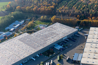 Drohnenaufname von Gewerbegebiet Horst mit Magna Exteriors, Zufall Logistics, STS Group und Thermo Fisher im Ortsteil Minderslachen in Kandel im Bundesland Rheinland-Pfalz, Deutschland