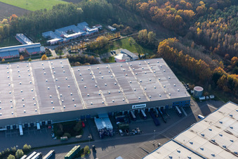 Drohnenbild von Gewerbegebiet Horst mit Magna Exteriors, Zufall Logistics, STS Group und Thermo Fisher im Ortsteil Minderslachen in Kandel im Bundesland Rheinland-Pfalz, Deutschland