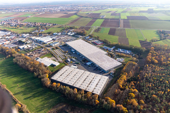Gewerbegebiet Horst mit Magna Exteriors, Zufall Logistics, STS Group und Thermo Fisher im Ortsteil Minderslachen in Kandel im Bundesland Rheinland-Pfalz, Deutschland von einer Drohne aus