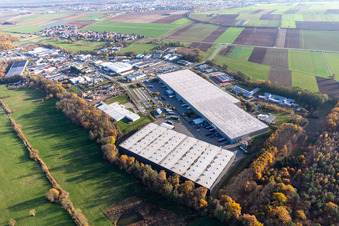 Gewerbegebiet Horst mit Magna Exteriors, Zufall Logistics, STS Group und Thermo Fisher im Ortsteil Minderslachen in Kandel im Bundesland Rheinland-Pfalz, Deutschland von der Drohne aus gesehen