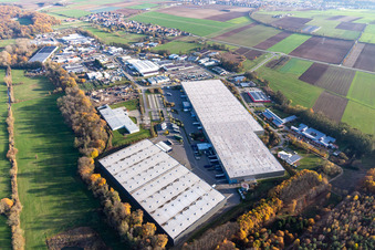 Schrägluftbild von Gewerbegebiet und Firmenansiedlung Horst mit Friedrich Zufall GmbH & Co. KG Internationale Spedition, Magna Exteriors, STS Group und Thermo Fisher im Ortsteil Minderslachen in Kandel im Bundesland Rheinland-Pfalz, Deutschland