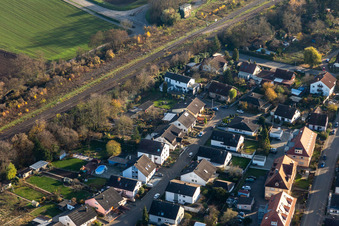 Im Rosengarten in Winden im Bundesland Rheinland-Pfalz, Deutschland