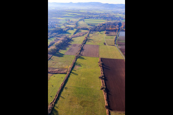 Billigheimer Bruch, Erlenbachtal zwischen Barbelroth, Hergersweiler und Winden im Ortsteil Mühlhofen in Billigheim-Ingenheim im Bundesland Rheinland-Pfalz, Deutschland