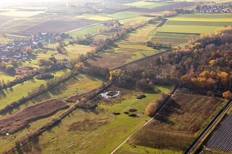 Billigheimer Bruch, Erlenbachtal zwischen Barbelroth, Hergersweiler und Winden im Ortsteil Mühlhofen in Billigheim-Ingenheim im Bundesland Rheinland-Pfalz, Deutschland aus der Luft