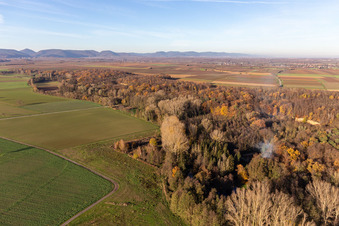Schrägluftbild von Billigheimer Bruch, Erlenbachtal zwischen Barbelroth, Hergersweiler und Winden im Ortsteil Ingenheim in Billigheim-Ingenheim im Bundesland Rheinland-Pfalz, Deutschland
