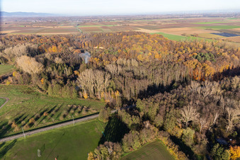Billigheimer Bruch, Horbachtal zwischen Barbelroth, Hergersweiler und Winden im Bundesland Rheinland-Pfalz, Deutschland von oben