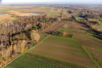 Billigheimer Bruch, Steinfelsbachtal zwischen Barbelroth, Hergersweiler und Winden im Bundesland Rheinland-Pfalz, Deutschland