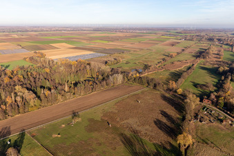 Drohnenaufname von Billigheimer Bruch, Erlenbachtal zwischen Barbelroth, Hergersweiler und Winden im Ortsteil Mühlhofen in Billigheim-Ingenheim im Bundesland Rheinland-Pfalz, Deutschland