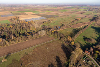 Drohnenbild von Billigheimer Bruch, Erlenbachtal zwischen Barbelroth, Hergersweiler und Winden im Ortsteil Mühlhofen in Billigheim-Ingenheim im Bundesland Rheinland-Pfalz, Deutschland