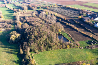 Schrägluftbild von Billigheimer Bruch, Erlenbachtal zwischen Barbelroth, Hergersweiler und Winden im Bundesland Rheinland-Pfalz, Deutschland