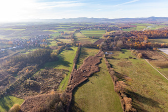 Billigheimer Bruch, Erlenbachtal zwischen Barbelroth, Hergersweiler und Winden im Ortsteil Mühlhofen in Billigheim-Ingenheim im Bundesland Rheinland-Pfalz, Deutschland von oben