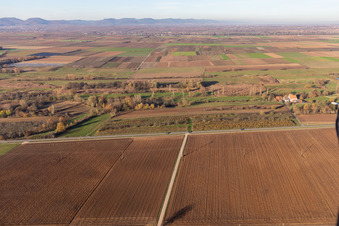 Billigheimer Bruch, Erlenbachtal zwischen Barbelroth, Hergersweiler und Winden im Ortsteil Mühlhofen in Billigheim-Ingenheim im Bundesland Rheinland-Pfalz, Deutschland aus der Luft