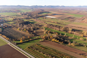 Drohnenaufname von Billigheimer Bruch, Erlenbachtal zwischen Barbelroth, Hergersweiler und Winden im Bundesland Rheinland-Pfalz, Deutschland