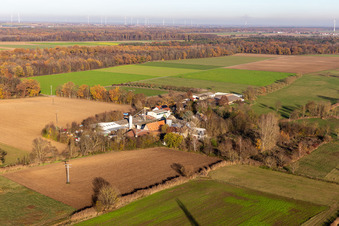 Palatino Ranch in Steinweiler im Bundesland Rheinland-Pfalz, Deutschland von oben