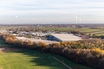 Schrägluftbild von Gewerbegebiet Horst mit Magna Exteriors, Zufall Logistics, STS Group und Thermo Fisher im Ortsteil Minderslachen in Kandel im Bundesland Rheinland-Pfalz, Deutschland