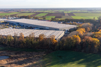 Gewerbegebiet Horst mit Magna Exteriors, Zufall Logistics, STS Group und Thermo Fisher im Ortsteil Minderslachen in Kandel im Bundesland Rheinland-Pfalz, Deutschland von oben