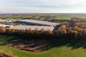 Gewerbegebiet Horst mit Magna Exteriors, Zufall Logistics, STS Group und Thermo Fisher im Ortsteil Minderslachen in Kandel im Bundesland Rheinland-Pfalz, Deutschland aus der Luft