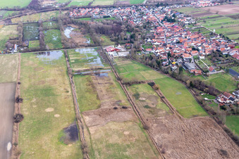 Überfluteter Flutgraben/Erlenbach an der Waschmühle im Ortsteil Mühlhofen in Billigheim-Ingenheim im Bundesland Rheinland-Pfalz, Deutschland