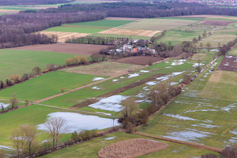 Überfluteter Bruchgraben, Buschurgraben, Flutgraben, Erlenbach in Steinweiler im Bundesland Rheinland-Pfalz, Deutschland