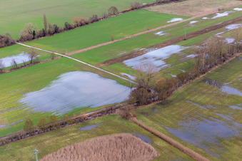 Luftbild von Überfluteter Bruchgraben, Buschurgraben, Flutgraben, Erlenbach in Steinweiler im Bundesland Rheinland-Pfalz, Deutschland