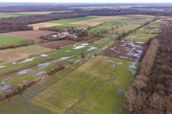 Luftaufnahme von Überfluteter Bruchgraben, Buschurgraben, Flutgraben, Erlenbach in Steinweiler im Bundesland Rheinland-Pfalz, Deutschland