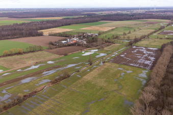 Schrägluftbild von Überfluteter Bruchgraben, Buschurgraben, Flutgraben, Erlenbach in Steinweiler im Bundesland Rheinland-Pfalz, Deutschland