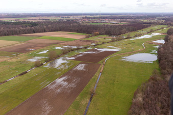 Überfluteter Bruchgraben, Buschurgraben, Flutgraben, Erlenbach in Steinweiler im Bundesland Rheinland-Pfalz, Deutschland von oben