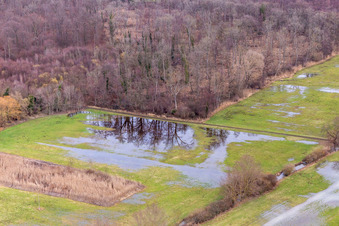Überfluteter Bauerngraben, Flutgraben in Steinweiler im Bundesland Rheinland-Pfalz, Deutschland