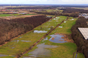 Überfluteter Bauerngraben, Flutgraben, Erlenbach in Steinweiler im Bundesland Rheinland-Pfalz, Deutschland