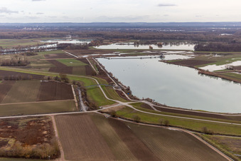 Überfluteter Altrhein / Polder Neupotz in Rheinzabern im Bundesland Rheinland-Pfalz, Deutschland