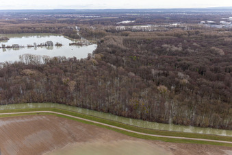 Überfluteter Altrhein / Polder Neupotz in Wörth am Rhein im Bundesland Rheinland-Pfalz, Deutschland